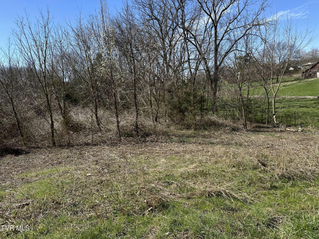 TBD MIDWAY ROAD, MIDWAY, TN 37809, photo 1 of 2