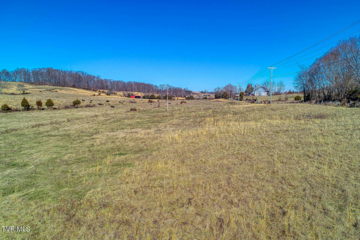 TBD OLD SNAPPS FERRY ROAD, CHUCKEY, TN 37641, photo 1 of 49