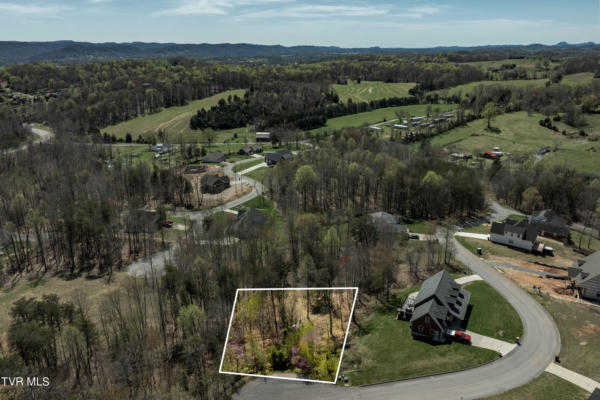 2064 SCENIC POINT PL, CHURCH HILL, TN 37642 - Image 1