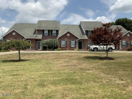 143 EAGLE VIEW PRIVATE DR # 143, BLOUNTVILLE, TN 37617 - Image 1