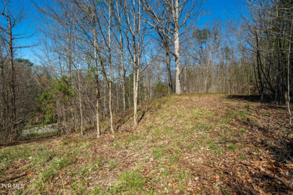 TBD MIDDLE CREEK ROAD, AFTON, TN 37616, photo 4 of 18