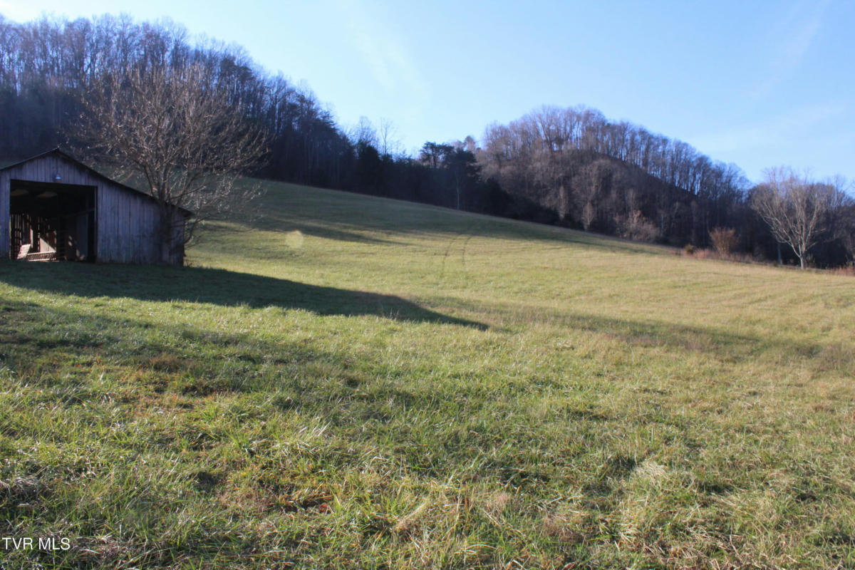 TBD E. CARTERS VALLEY ROAD, GATE CITY, VA 24251, photo 1 of 14