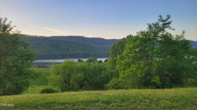 LOT 87 HARBOUR VIEW ROAD, BUTLER, TN 37640 - Image 1