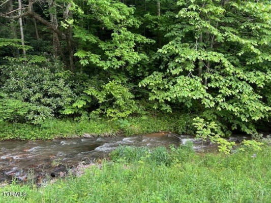 0000 FORGE CREEK ROAD, MOUNTAIN CITY, TN 37683, photo 2 of 12