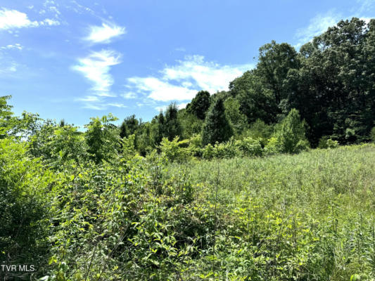 LOT 5 STAGECOACH EAST ROAD, GREENEVILLE, TN 37743 - Image 1