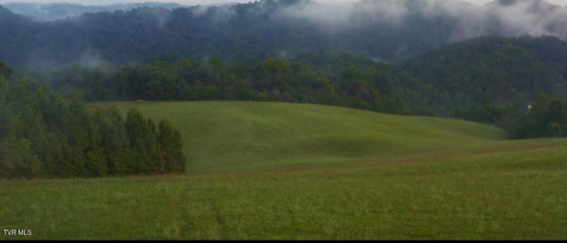 TRACT 7 BUNDREN MOUNTAIN ROAD, TAZEWELL, TN 37879, photo 5 of 9