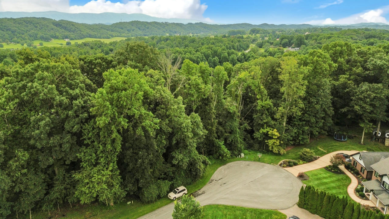 TBD STONEWALL RIDGE # LOT 31, BRISTOL, VA 24202, photo 1 of 2