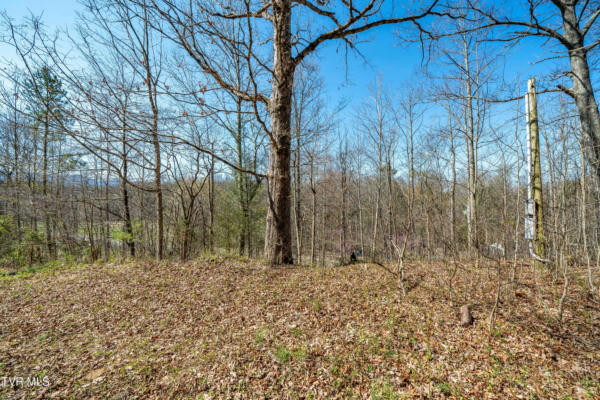 TBD MIDDLE CREEK ROAD, AFTON, TN 37616, photo 5 of 18