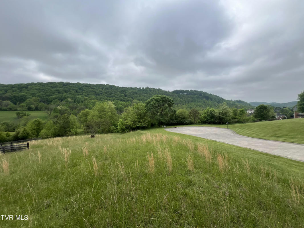 ALL 3 LOTS VALLEY FALLS, KINGSPORT, TN 37664, photo 1 of 33
