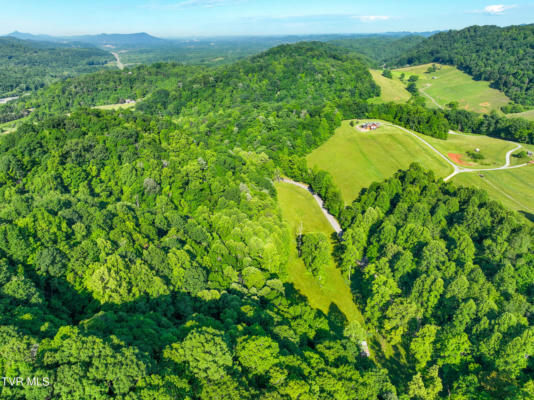 TBD COLE HOLLOW ROAD ROAD, BLOUNTVILLE, TN 37617 - Image 1