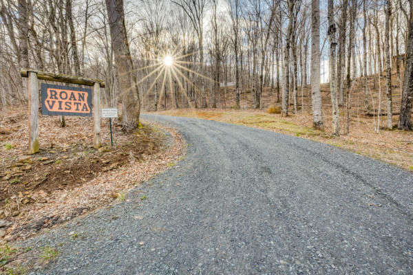 LOT 16 HIGH POINT DRIVE, ROAN MOUNTAIN, TN 37687 - Image 1