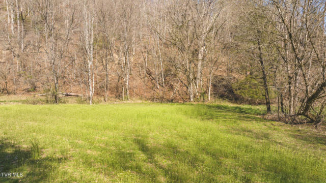 15.65 ACRE WILLIS CHAPEL ROAD, KYLES FORD, TN 37765, photo 3 of 27