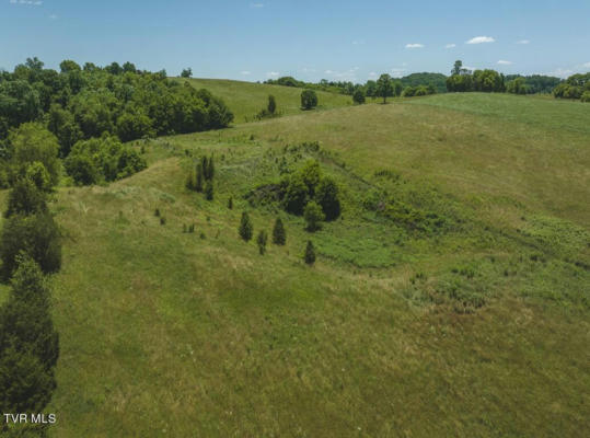 12.69 ACRE EAST SUGAR HOLLOW ROAD, RUSSELLVILLE, TN 37860 - Image 1