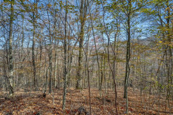 LOT 1 TIMBER CREST DRIVE, ROAN MOUNTAIN, TN 37687, photo 4 of 21