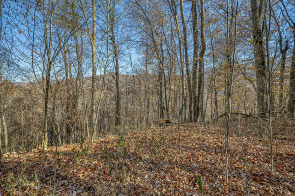 LOT 1 TIMBER CREST DRIVE, ROAN MOUNTAIN, TN 37687, photo 5 of 21