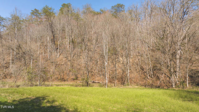 15.65 ACRE WILLIS CHAPEL ROAD, KYLES FORD, TN 37765, photo 4 of 27