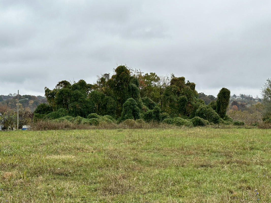 tBA WEST ELK WEST AVENUE, ELIZABETHTON, TN 37643 Vacant Land For Sale