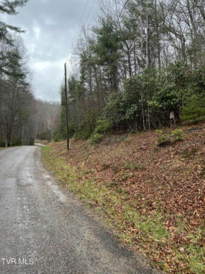 LOT 4 VALLEY VIEW DRIVE, BUTLER, TN 37640, photo 4 of 10