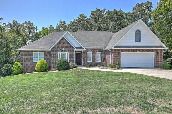 156 WARRIOR FALLS DR, KINGSPORT, TN 37664 - Image 1