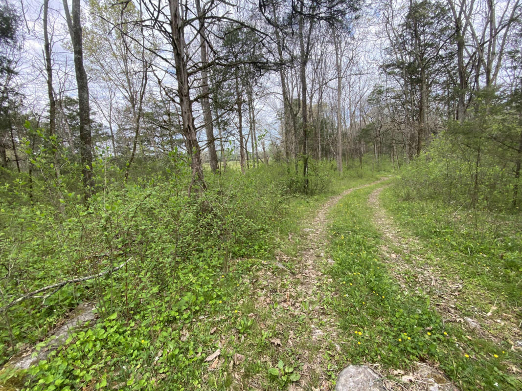 TBD MELZONI ROAD, PENNINGTON GAP, VA 24277, photo 1 of 12