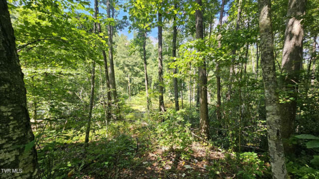 825 BELGIUM HOLLOW RD, PENNINGTON GAP, VA 24277, photo 4 of 10