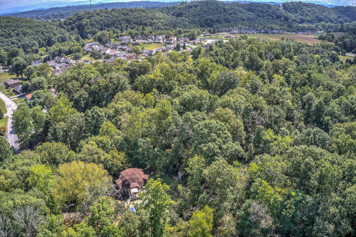 TBD WINDSOR FOREST DRIVE, KINGSPORT, TN 37663, photo 1 of 12