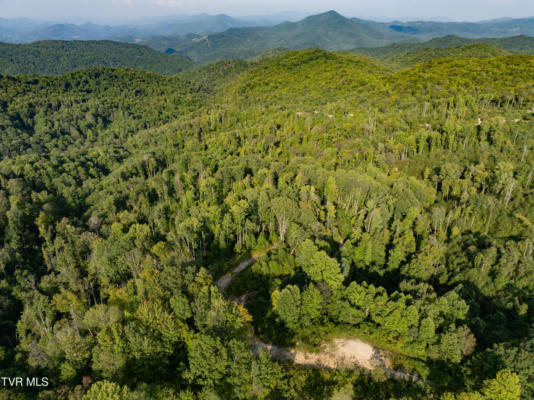 TBD WALNUT MOUNTAIN ROAD, ROAN MOUNTAIN, TN 37687 - Image 1