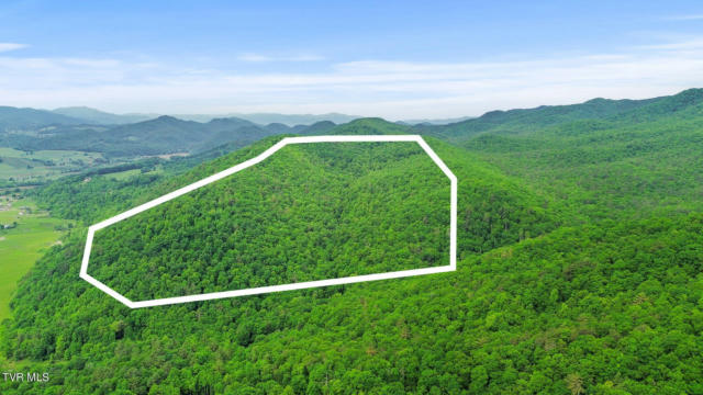 0 NORTHEAST OF FIRE TOWER ROAD, MOUNTAIN CITY, TN 37683 - Image 1