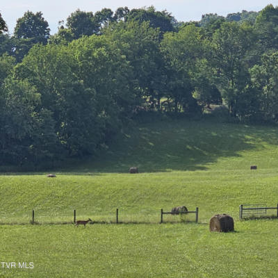 TBD WIDENER VALLEY ROAD, GLADE SPRING, VA 24340 - Image 1