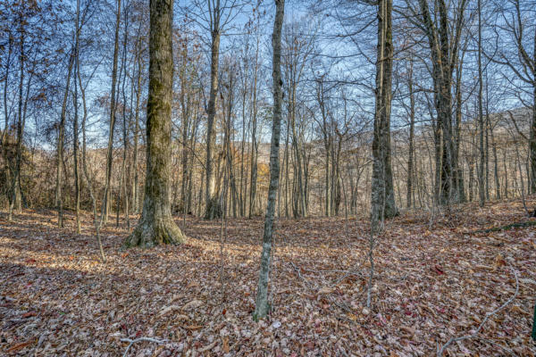 LOT 1 TIMBER CREST DRIVE, ROAN MOUNTAIN, TN 37687, photo 2 of 21