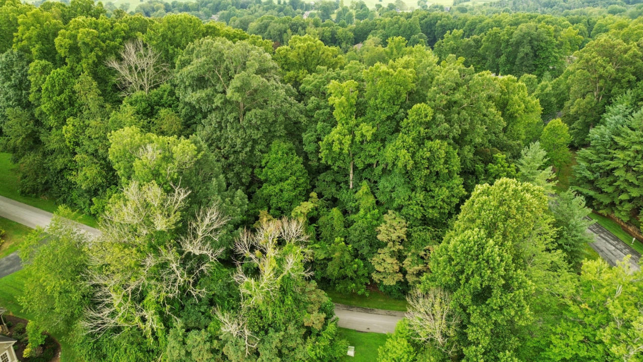 TBD STONEWALL RIDGE # LOT 23, BRISTOL, VA 24202, photo 1 of 2