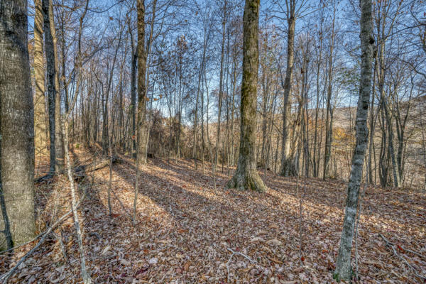 LOT 1 TIMBER CREST DRIVE, ROAN MOUNTAIN, TN 37687, photo 3 of 21