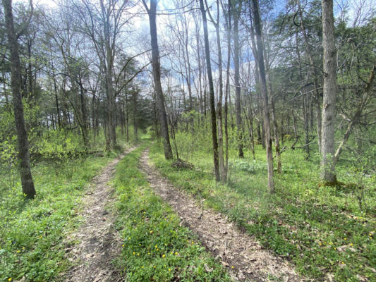 TBD MELZONI ROAD, PENNINGTON GAP, VA 24277, photo 2 of 12