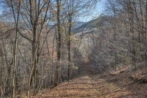 LOT 1 TIMBER CREST DRIVE, ROAN MOUNTAIN, TN 37687 - Image 1