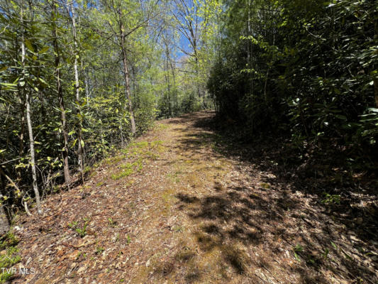 LOT 2 SOUTHEAST LAKEVIEW DRIVE, BUTLER, TN 37640, photo 2 of 33
