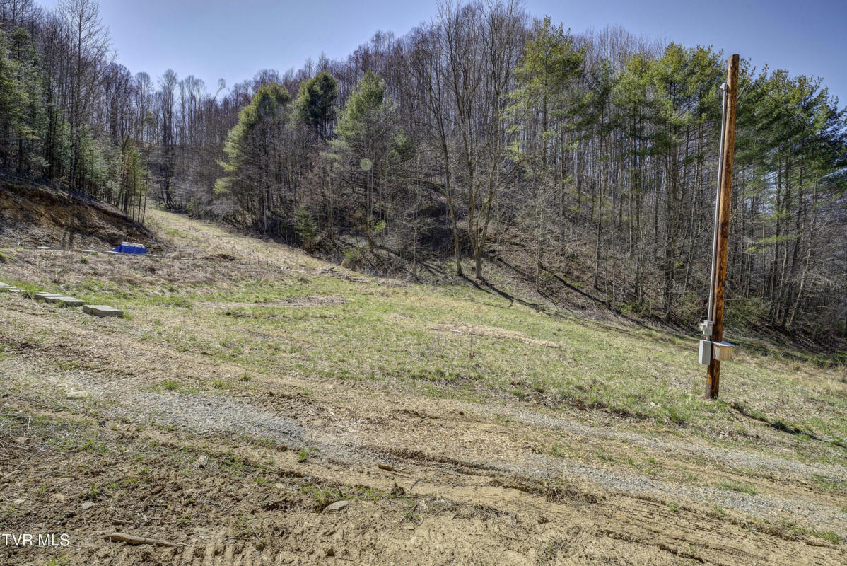 TBD T GREER ROAD, MOUNTAIN CITY, TN 37683, photo 1 of 22