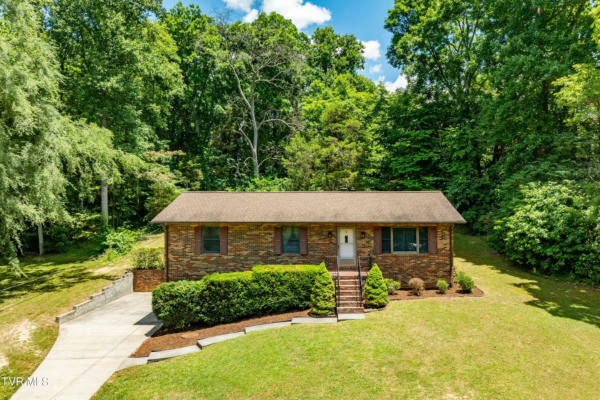 234 FORREST RD, FALL BRANCH, TN 37656 - Image 1