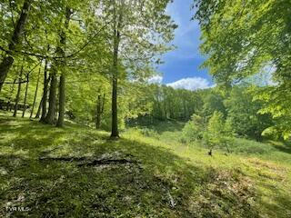 TRACT 5 GREER ROAD, TRADE, TN 37691, photo 1 of 20